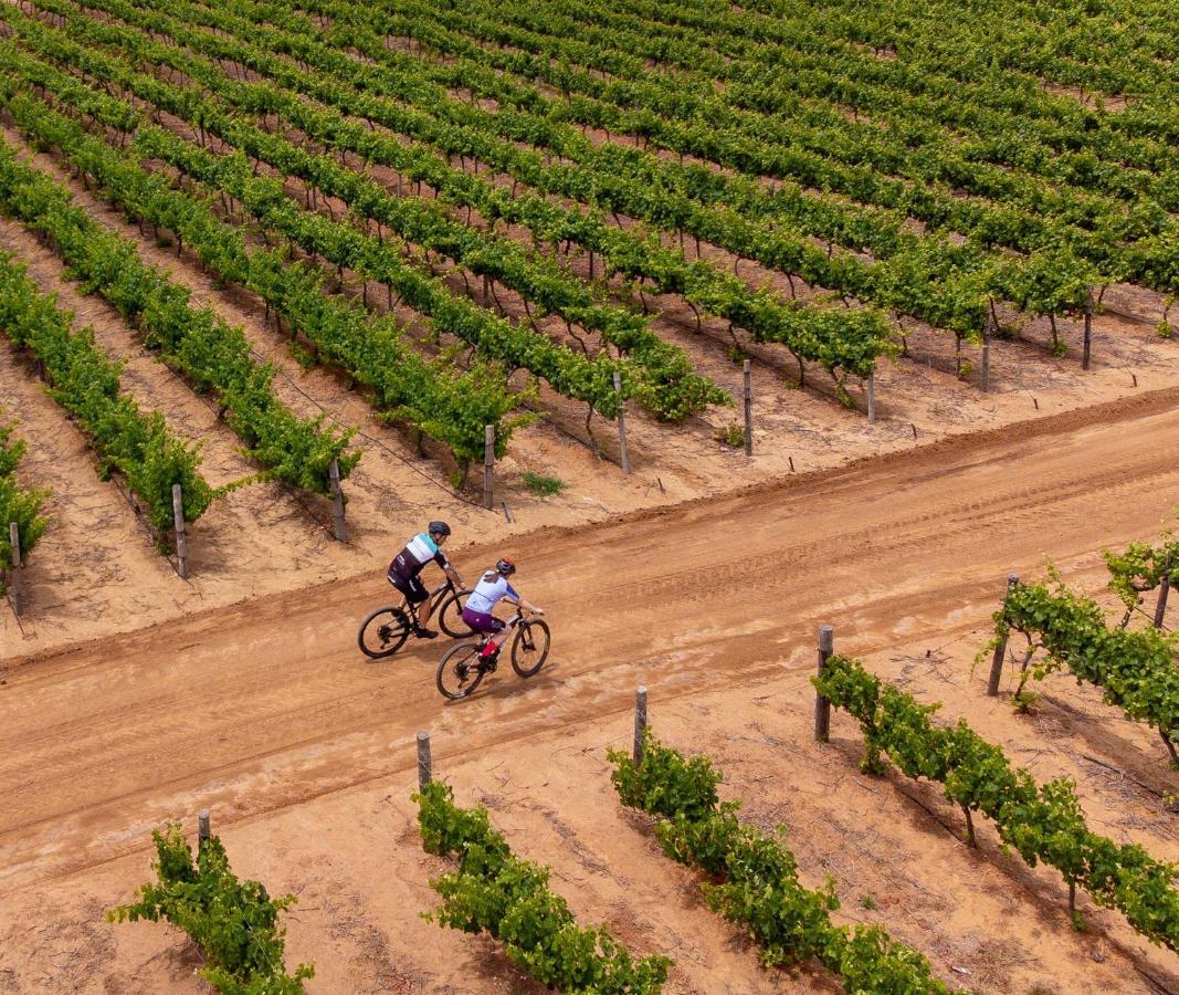 Fransmanskraal - Luxury Farm * Stellenbosch